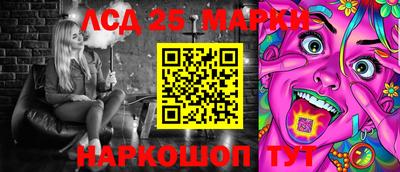 сатива Ставрополь